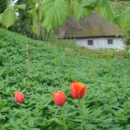 Lillemollens Bed & Breakfast