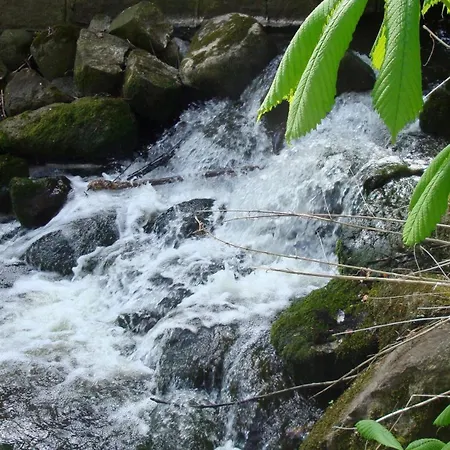 Bed & Breakfast Lillemollens 3*